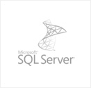 MSSQL Server developer